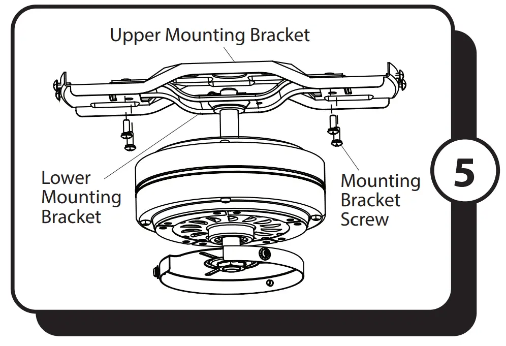 Assembly Instructions