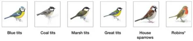 NESTERA-Solar-Powered-Battery-Wifi-Bird-Box-Camera-fig-4