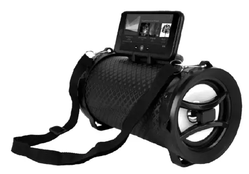 boom speaker product