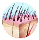 PROJECT E BEAUTY PE720 SmoothPro IPL Hair Removal Device - figure 20