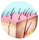 PROJECT E BEAUTY PE720 SmoothPro IPL Hair Removal Device - figure 21