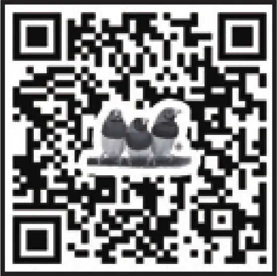 ViewSonic VG2440 24 Inch Full HD Ergonomic Business Monitor - FIG 2