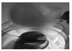 NOSTALGIA-NRPCM45RR-Retro-Hard-Candy-Cotton-Candy-Maker-3