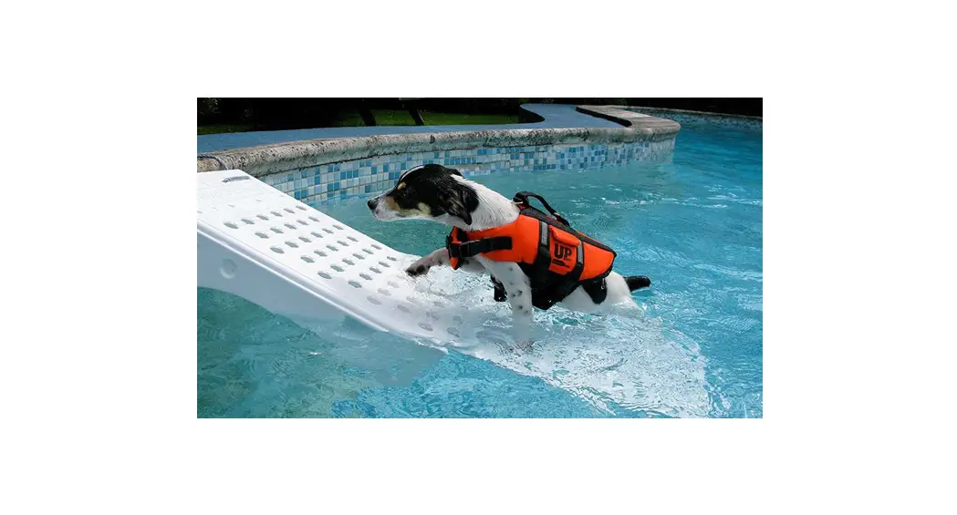 Petsafe Dog On Water Ramp User Guide