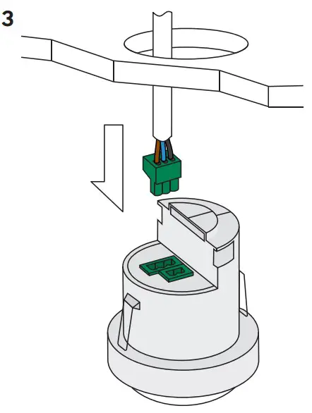 Wire in plugs & connect to detector