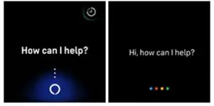 FIG 29 Interact with your voice assistant