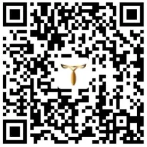 FIG 8 CONNECT APP OF THINKERRIDE