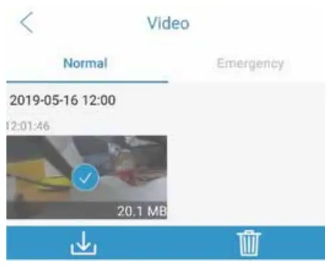 BLAUPUNKT BP 81A 12V 24V Digital Video Recorder 2 Channel - downlod fil