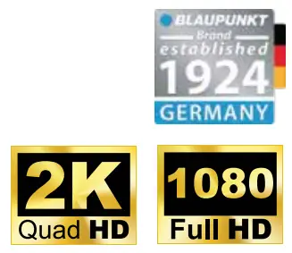BLAUPUNKT BP 81A 12V 24V Digital Video Recorder 2 Channel - fig 2