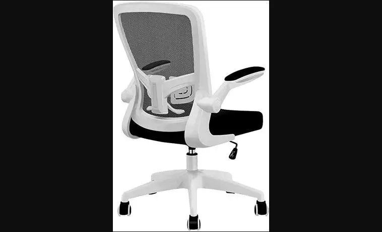 Felix King Ergonomic Adjustable Office Desk Chair Instruction Manual