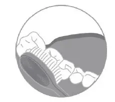 oclean Flow Sonic Electric Toothbrush 3