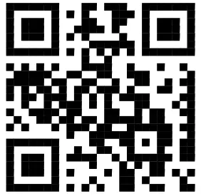 steinel 058661 Spot Way Outdoor Illuminator Smart Light - qr code1