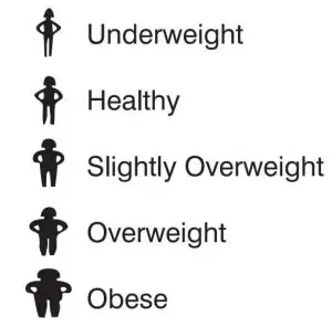 FIG 11 Health Indicators