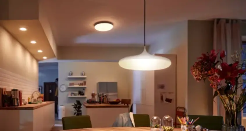 Philips Hue White Ambiance Cher Suspension Light User Manual