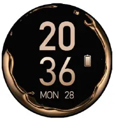 Shenzhen Kingwear Intelligent Technology KW06PRO Smart Watch fig6