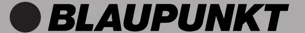 BLAUPUNKT logo