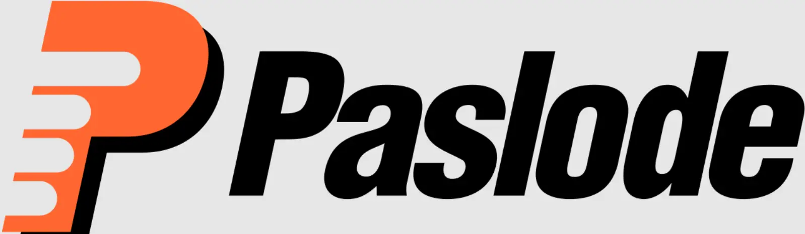 Paslode IM200Li 18 Gauge Cordless Brad Nailer logo