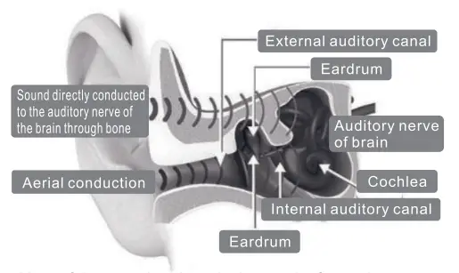 Shenzhen Elenose Technology BH330 Bone Conduction Wireless Earphones - fig1
