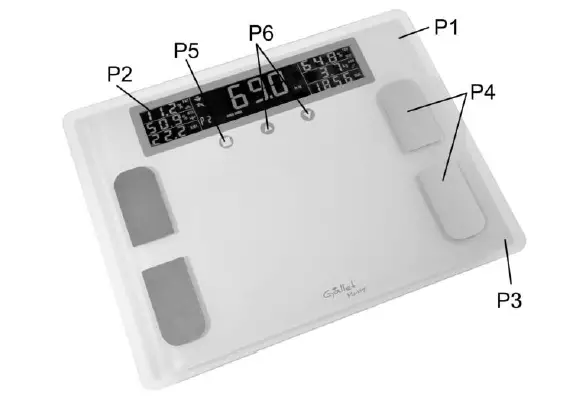 Gallet-PEP-806-Electronic-Glass-Scale-FIG-3.