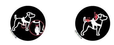 JULIUS-K9-16IDC-P-M-AMZ-IDC-Dog-Powerharness-04