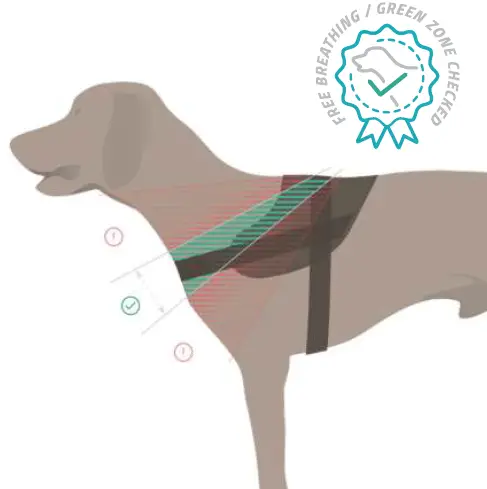 JULIUS-K9-16IDC-P-M-AMZ-IDC-Dog-Powerharness-05