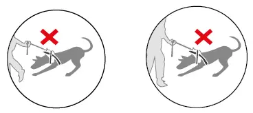 JULIUS-K9-16IDC-P-M-AMZ-IDC-Dog-Powerharness-06