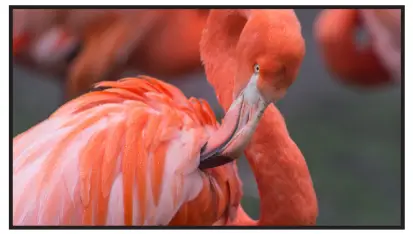 A-NEUVIDEO-ANI-9-MV-9x1-HDMI-Seamless-Switcher -W-Multi-View-fig-5