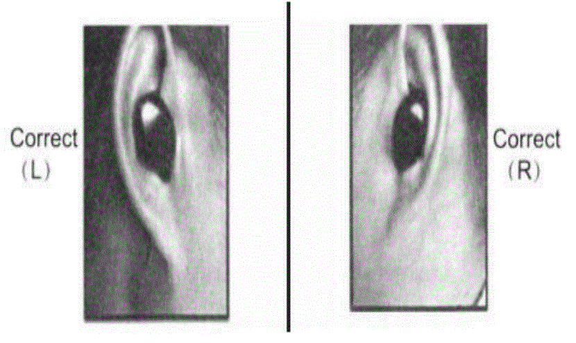 Shenzhen Xinjunteng Technology S100 Bluetooth Earphones User Manual - Connection remark