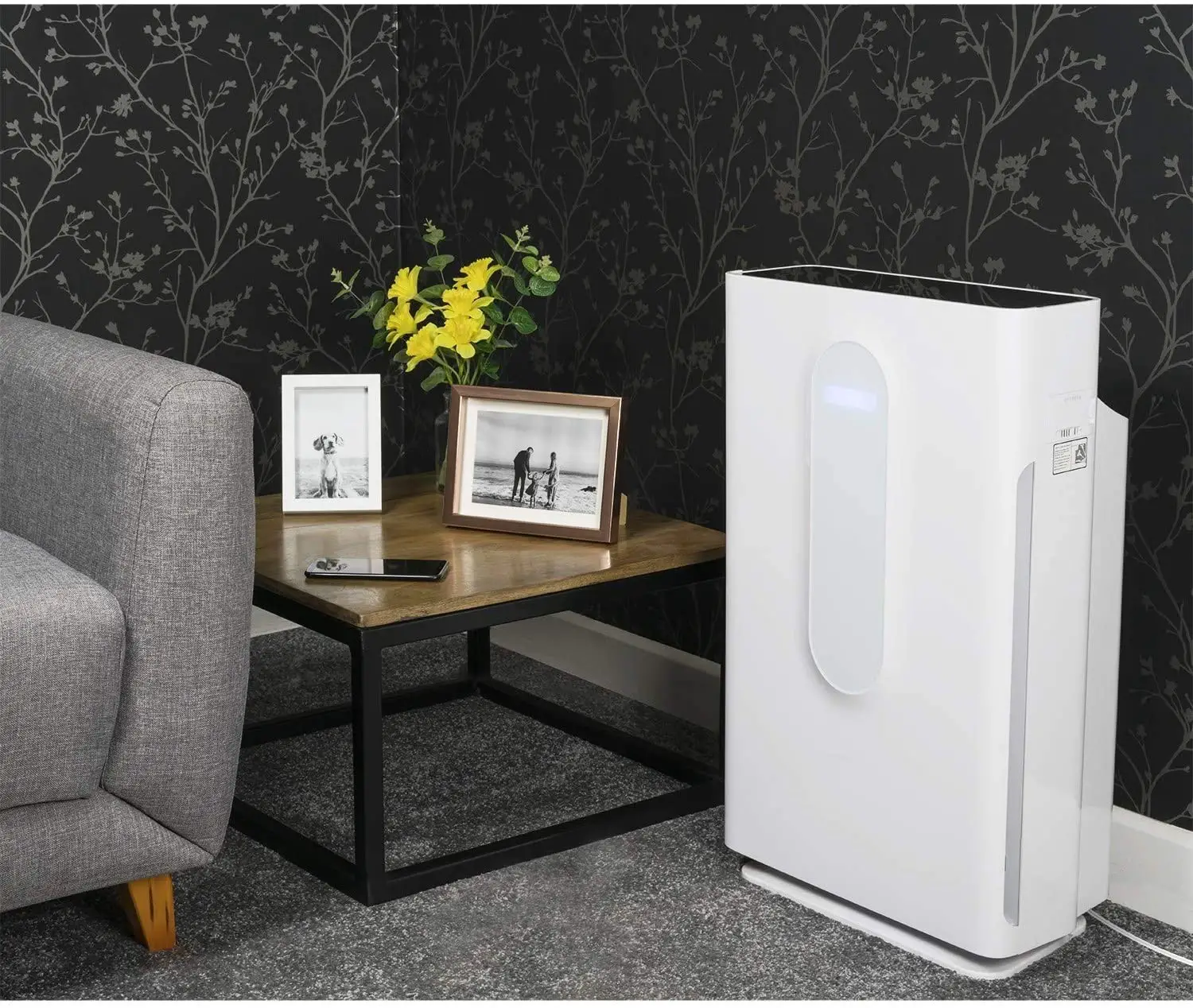Electriq Air Purifier User Manual
