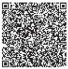 BRAYER BR4080 Travel Steam Iron-fig2