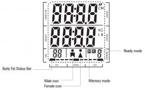 LCD Display