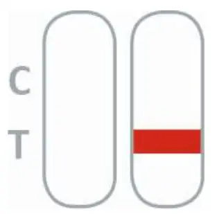 PRAXISDIENST 351006N-05 NADAL D-Dimer Test - fig 2