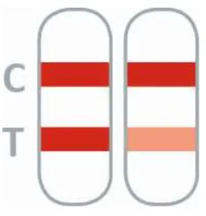 PRAXISDIENST 351006N-05 NADAL D-Dimer Test - fig 8