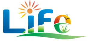 Life logo