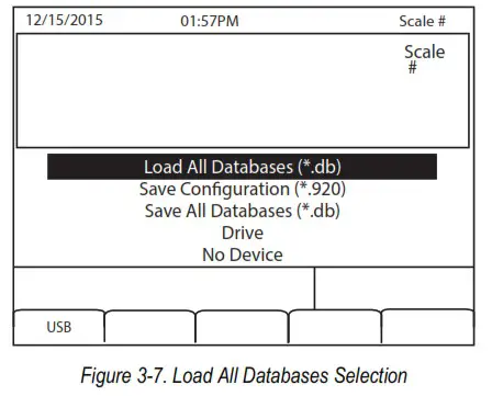 RICE LAKE 920i ACDC Agricultural Multi Animal Indicator - Loading Configuration Files and Databases 3