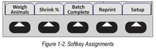 RICE LAKE 920i ACDC Agricultural Multi Animal Indicator - Softkeys 1