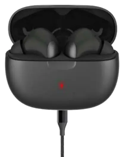 CROSSBEATS Epic Lite True Wireless Stereo Earphones - charging