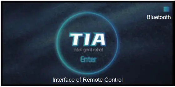 GUANGDONG NX01 Robot Cubby Instruction Manual - Interface of Remote Control