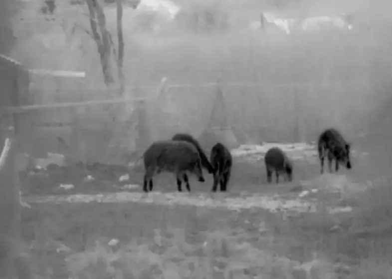 THERMAL IMAGING CLIP -Quick conversion