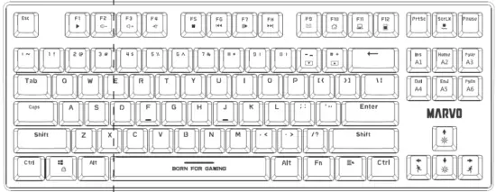 PRODUCT PRESENTATION