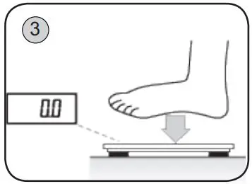 eta-Kate-4780-90000-Body-Analysis-Scale-fig3