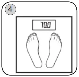 eta-Kate-4780-90000-Body-Analysis-Scale-fig4