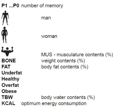 eta-Kate-4780-90000-Body-Analysis-Scale-fig7