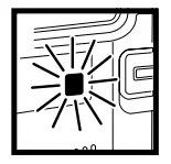 BRUSHROLL INDICATOR LIGHT
