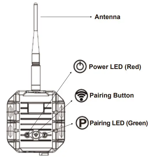MXN DXS200 Digital Wireless System - Figure 4