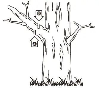 greenworks-PS80L01-Brushless-Cordless-FIG-16