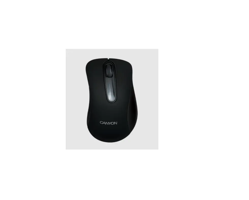 Canyon Cne-cmsw2 Wireless Optical Mouse User Guide