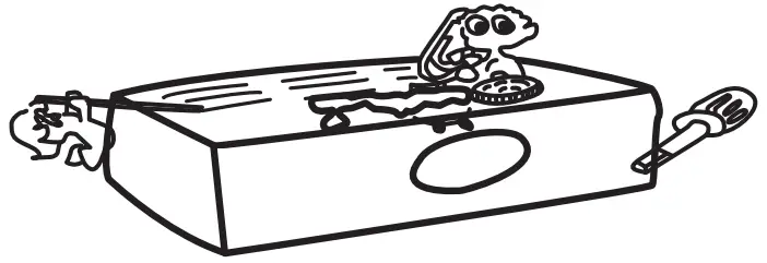 MARTIN RANGER 3-Way Mic Feedback Karaoke Amplifier - figure 4