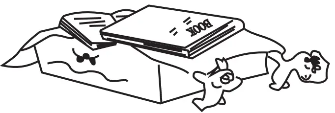 MARTIN RANGER 3-Way Mic Feedback Karaoke Amplifier - figure 7