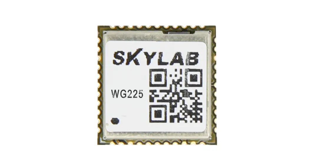 Skylab Wg225 Combo Module User Manual